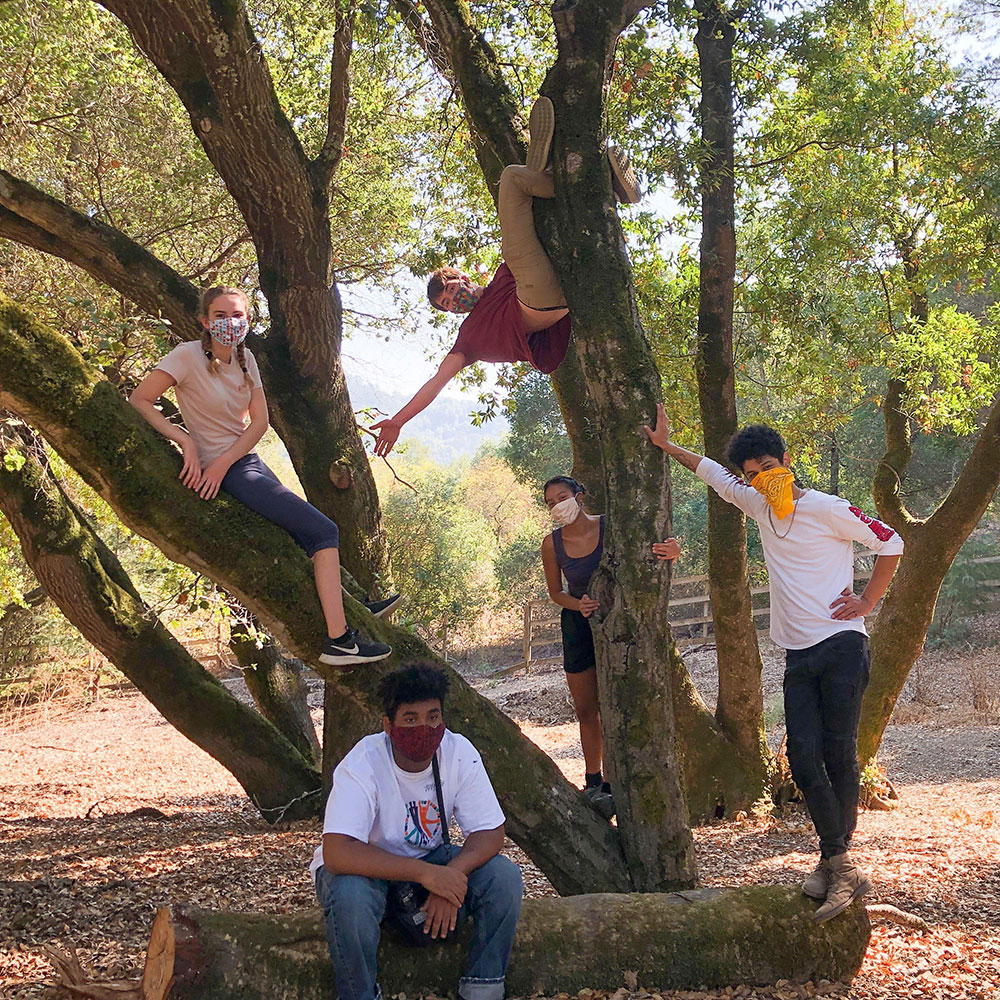 Youth Leaders in a tree