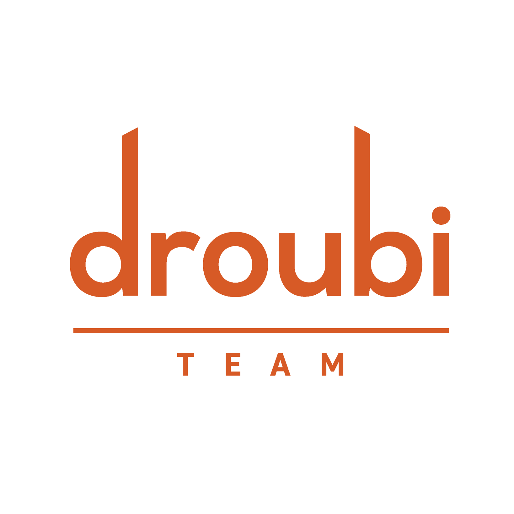 Droubi Team logo